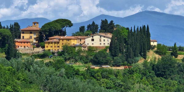 Weingut Vecchia Fattoria in Usigliano in der Provinz Pisa